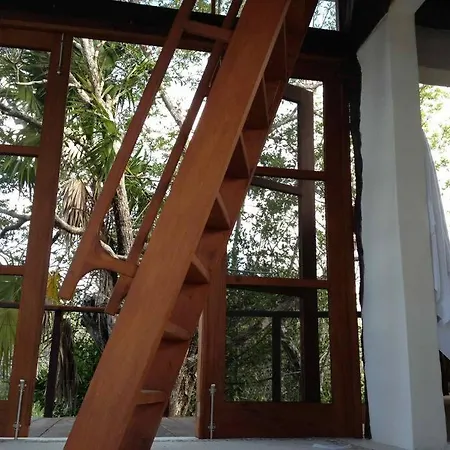 Exotic Eco House In Jungle With Private Cenote Holiday home *