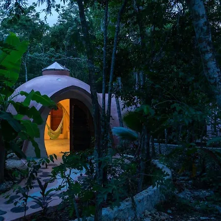 Unique Jungle Dome Ha With Kitchen Apartment Tulum