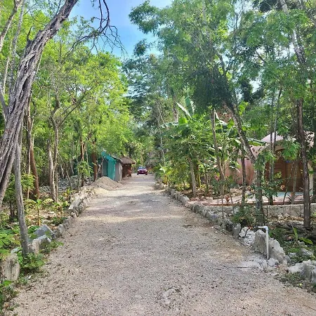 Unique Jungle Dome Ha With Kitchen * Tulum