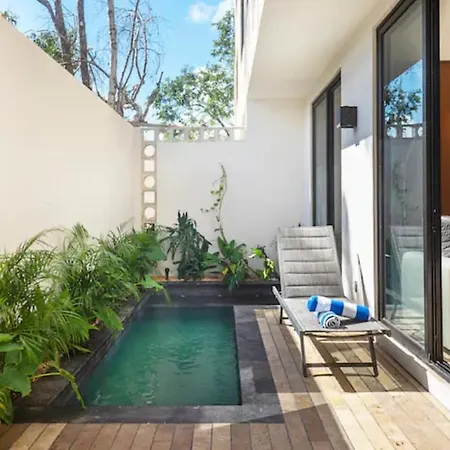 Private Swim Up Pool.near Beach&town.60mb Fiber * Tulum
