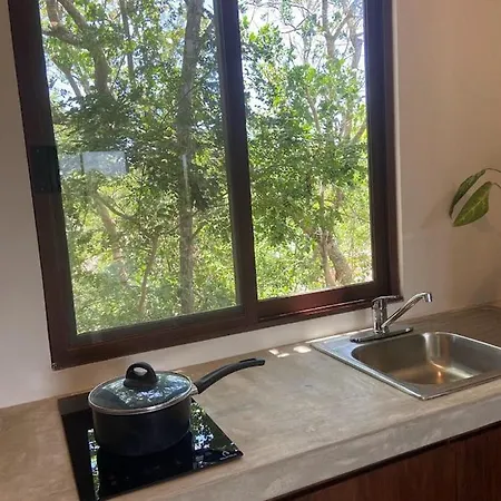 Basic La Veleta Apartment *