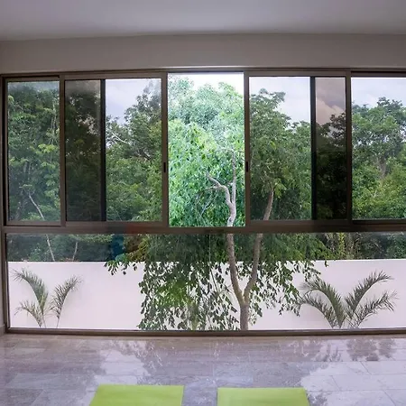 Inspiring Casa Luz Fully Equipped With Gym Cinema Pool
