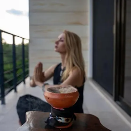 Apartment Inspiring Casa Luz Fully Equipped With Gym Cinema Pool Tulum