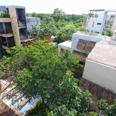 Apartment Ziba With Private Pool
