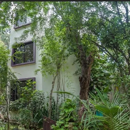 Apartment Avalon