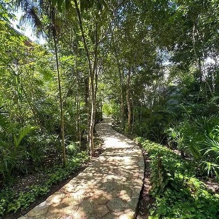 Luxury In W/ Cenote & Pool. *