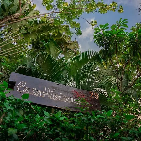 Villa Casa Hibiscus - Tropical Serenity Meets Modern Comfort In *