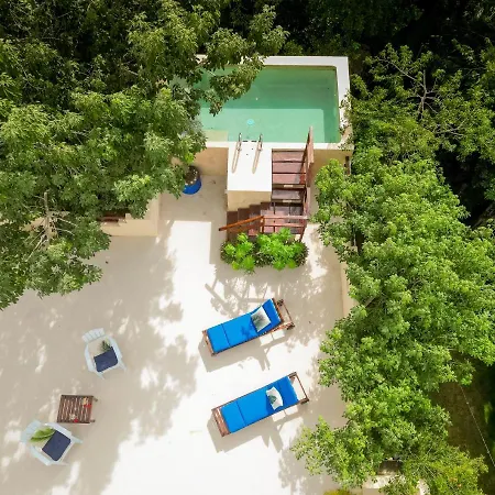 Casa Hibiscus - Tropical Serenity Meets Modern Comfort In
