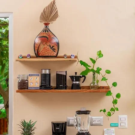 Villa Casa Hibiscus - Tropical Serenity Meets Modern Comfort In *