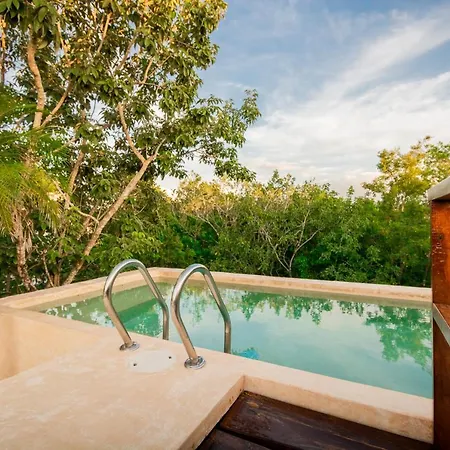 Casa Hibiscus - Tropical Serenity Meets Modern Comfort In *