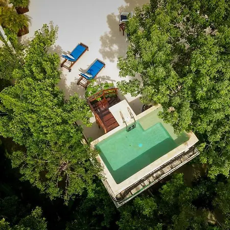 Casa Hibiscus - Tropical Serenity Meets Modern Comfort In Villa *