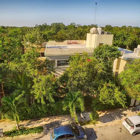 Casa Hibiscus - Tropical Serenity Meets Modern Comfort In