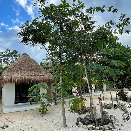 The Reserve 4*