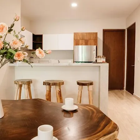 2 Bedroom W/amazing Rooftop & Jungle Views *
