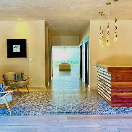 Apartment 2 Bedroom W/amazing Rooftop & Jungle Views *