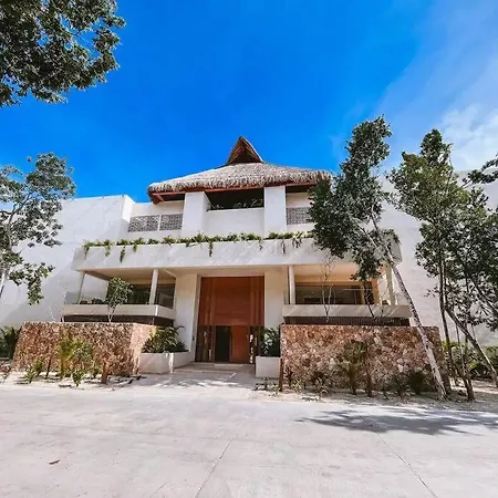 Apartment 2 Bedroom W/amazing Rooftop & Jungle Views