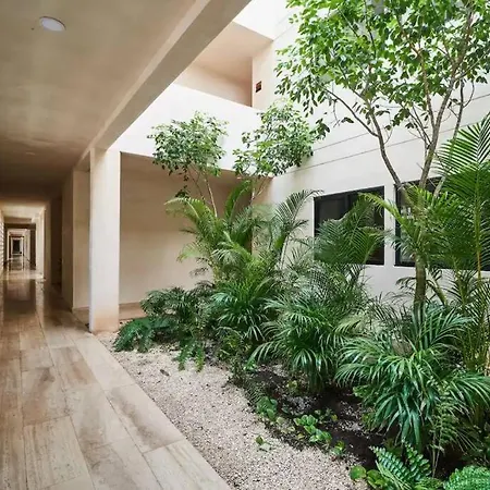 2 Bedroom W/amazing Rooftop & Jungle Views Apartment