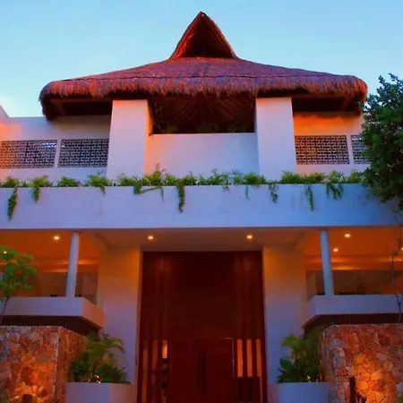 Apartment 2 Bedroom W/amazing Rooftop & Jungle Views