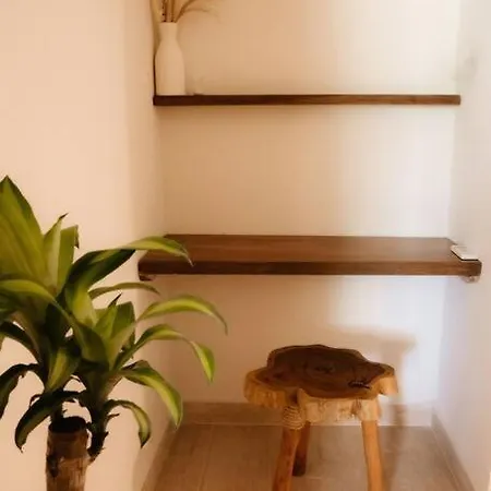 Apartment 2 Bedroom W/amazing Rooftop & Jungle Views *