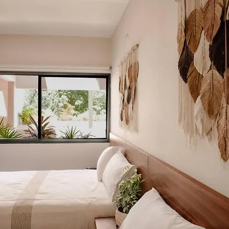 Apartment 2 Bedroom W/amazing Rooftop & Jungle Views Tulum