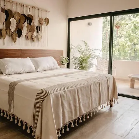 2 Bedroom W/amazing Rooftop & Jungle Views *