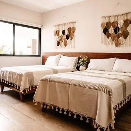 2 Bedroom W/amazing Rooftop & Jungle Views Apartment