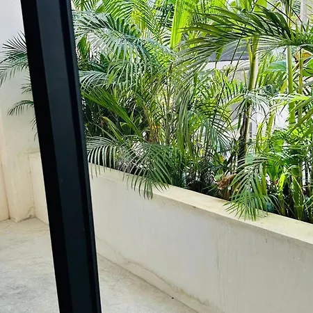 Estudio Centrico Con Acceso A Club De Playa Apartment *