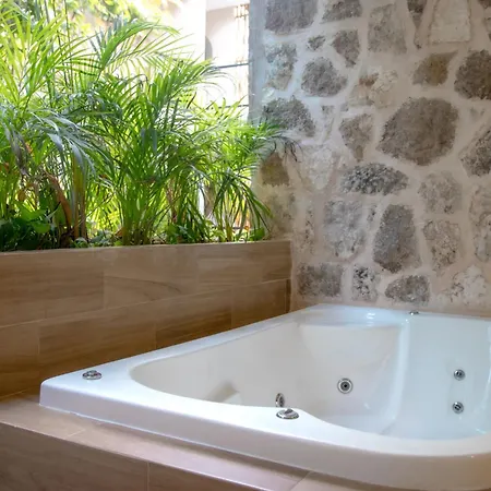 Studio Vista A La Jungla Con Jacuzzi En La Veleta