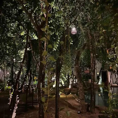 ¡suena Aqui! Departamento En La Selva Tulum