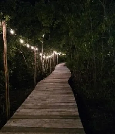 Apartment Jungle On Beach Road, Pool & Cenotes Onsite *