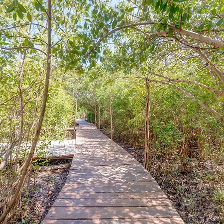 Jungle On Beach Road, Pool & Cenotes Onsite Tulum