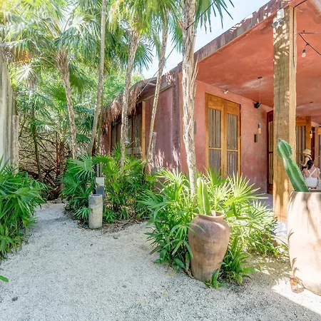 Jungle On Beach Road, Pool & Cenotes Onsite *