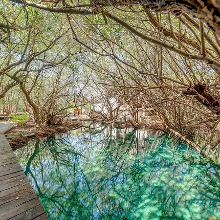 Apartment Jungle On Beach Road, Pool & Cenotes Onsite *