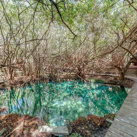 Apartment Jungle On Beach Road, Pool & Cenotes Onsite *