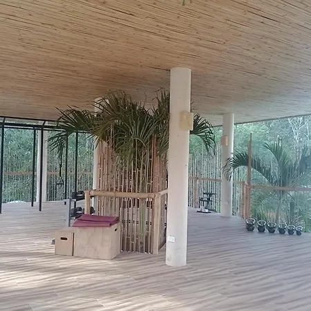 Estudios En Muuk *