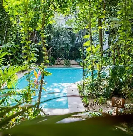 Ph5 Botanic, Luxury In Tulums Urban Jungle * Tulum