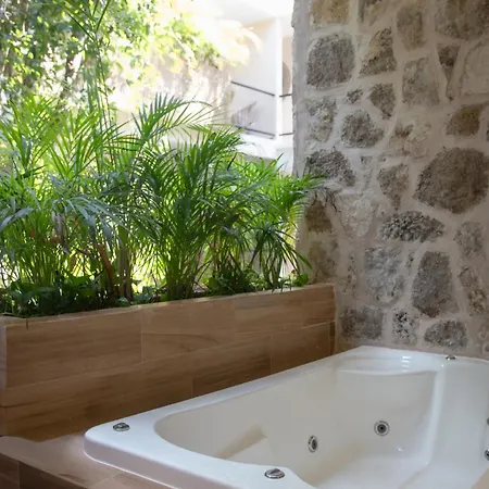 Studio Vista A La Jungla Con Jacuzzi En La Veleta * Tulum