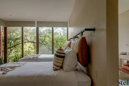 Holiday home New Tropical Vibe Huge Private Terrace Amenities