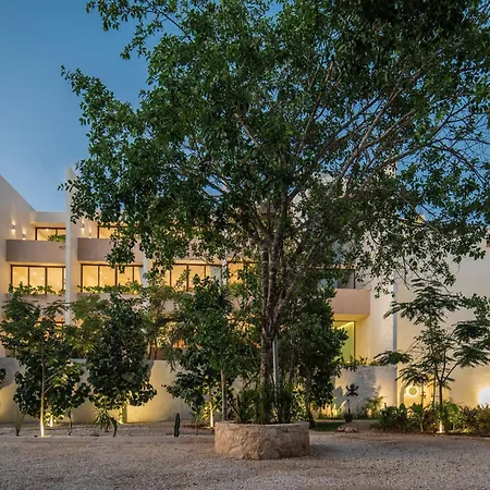 Exclusive Studio With Balcony In La Veleta, Rooftop Pool, Lounge And Outdoor Seating Apartment *