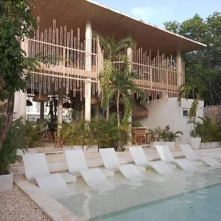 Lindo Loft En Corazon De * Tulum