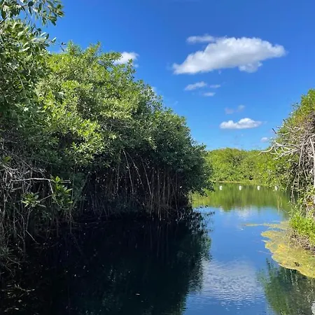 Aldea Mangle Cabana Y Cenote * Tulum
