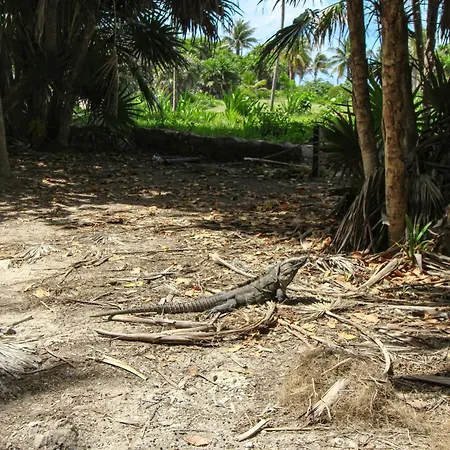 Mya 206 At Aldea Zama Tulum
