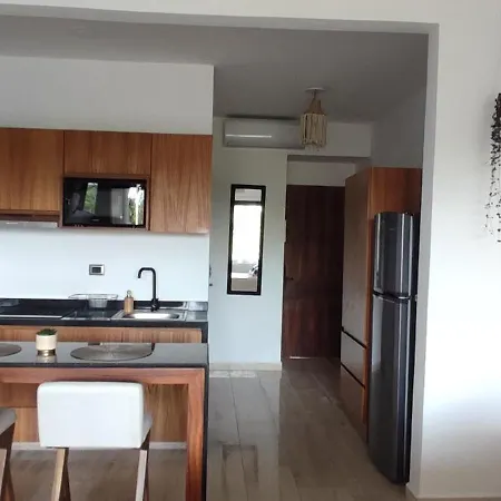 Jungle Oasis Studio: Beachside Retreat With Pool And Amenities Apartment