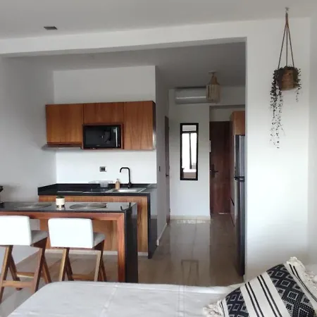 Apartment Jungle Oasis Studio: Beachside Retreat With Pool And Amenities *