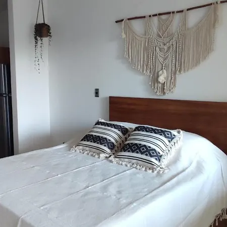 Jungle Oasis Studio: Beachside Retreat With Pool And Amenities Apartment
