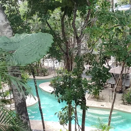 Apartment Jungle Oasis Studio: Beachside Retreat With Pool And Amenities