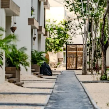 Apartment Ph With Private Pool And Bikes Tulum