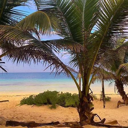 Playa Lakin-ha Beachfront Cabins Campsite *