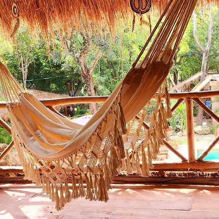 Hotel Jungle Deluxe Kin *