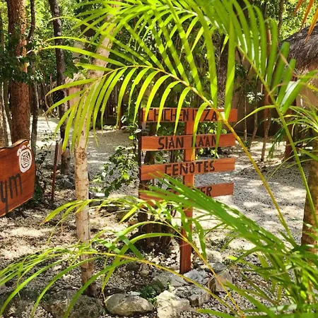 Jungle Deluxe Kin Tulum